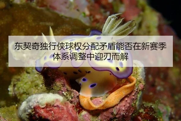dong-qi-qi-du-xing-xia-qiu-quan-fen-pei-mao-dun-neng-fou-zai-xin-sai-ji-ti-xi-tiao-zheng-zhong-ying-ren-er-jie-3-100.jpg