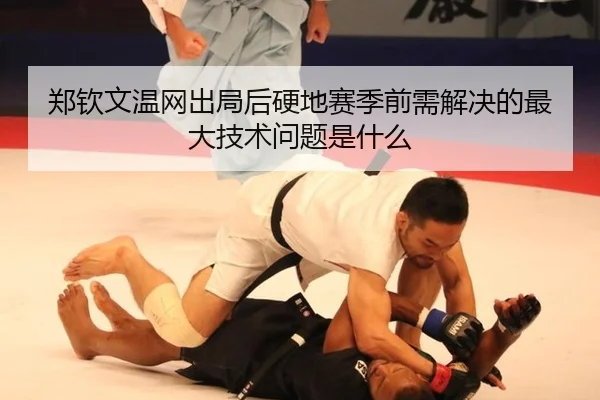zheng-qin-wen-wen-wang-chu-ju-hou-ying-di-sai-ji-qian-xu-jie-jue-de-zui-da-ji-shu-wen-ti-shi-shen-me-3-305.jpg